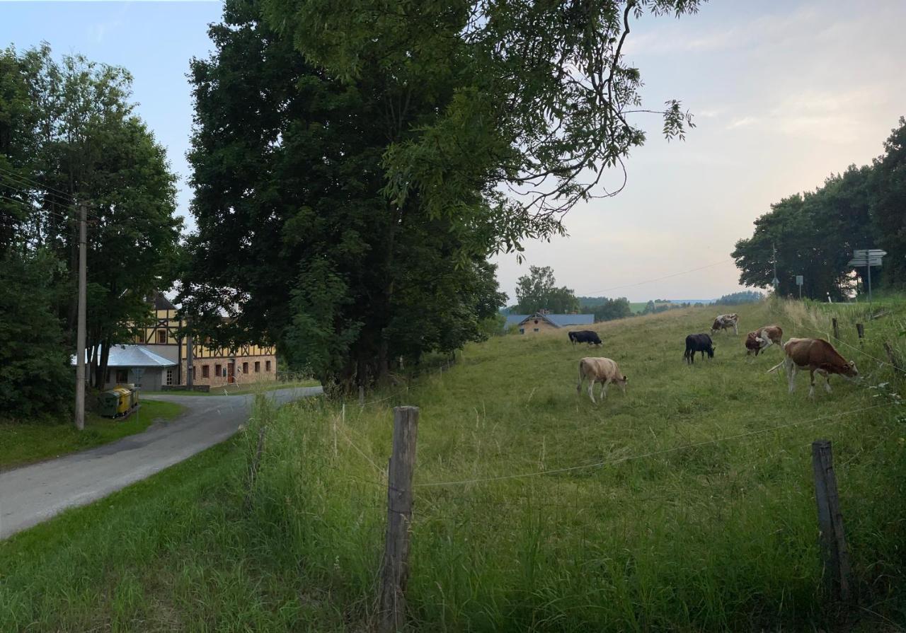 Penzion Stará Škola Vikantice Exterior foto